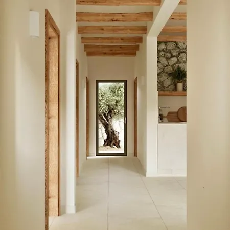 Elaia Luxury House *