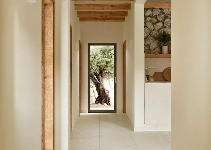 Elaia Luxury House *